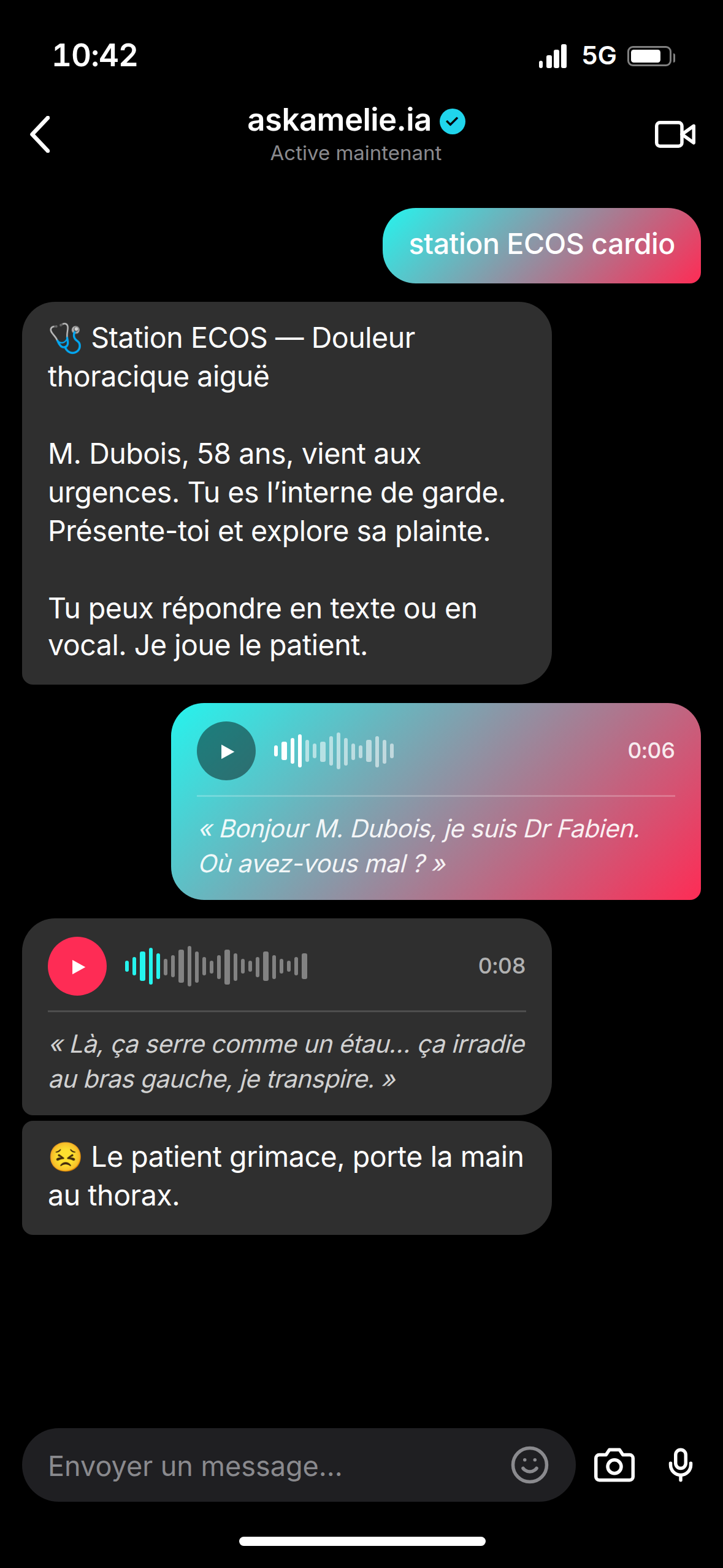 Ask Amélie dans TikTok DM
